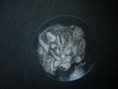/album/piatti-soprammobile-incisi-con-dremel/imag-0348-jpg/